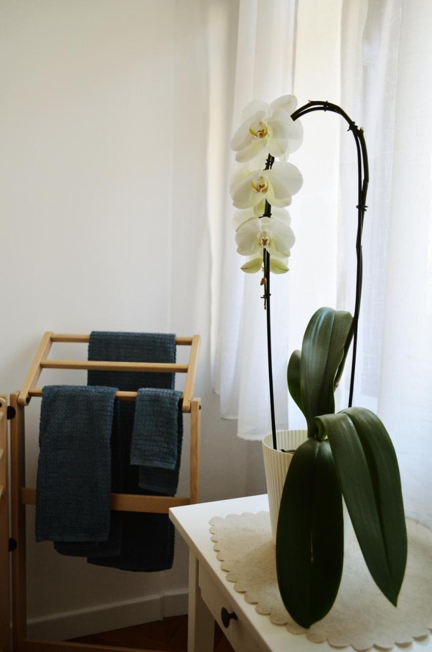 トリエステ Punto8 Bed & Breakfast エクステリア 写真